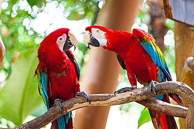 《路易吉洋馆2HD》模拟器版支持60帧 体验更佳